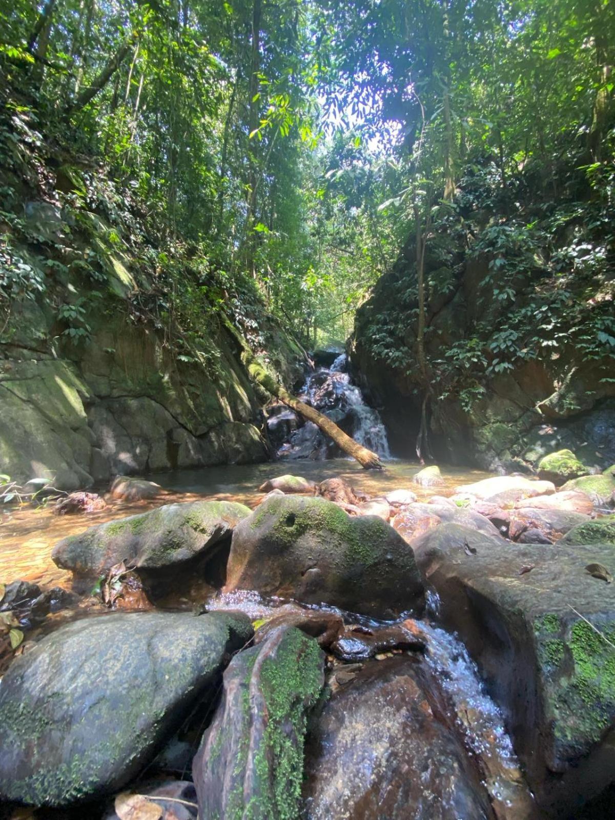 Eco Trekking Lodge, Bar & Jungle Tour'S Bukit Lawang Eksteriør billede