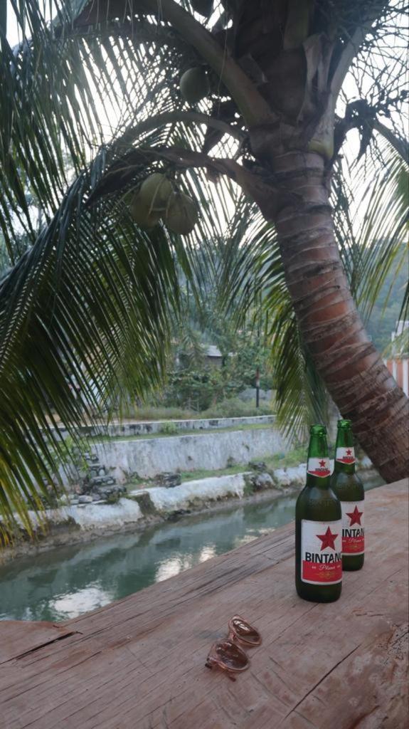 Eco Trekking Lodge, Bar & Jungle Tour'S Bukit Lawang Eksteriør billede