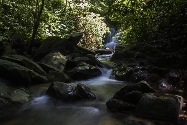 Eco Trekking Lodge, Bar & Jungle Tour'S Bukit Lawang Eksteriør billede