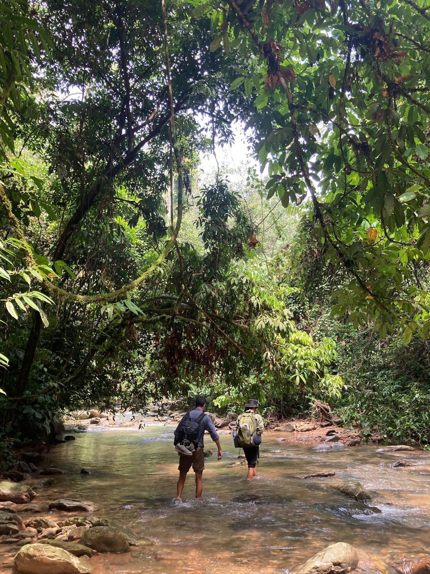 Eco Trekking Lodge, Bar & Jungle Tour'S Bukit Lawang Eksteriør billede