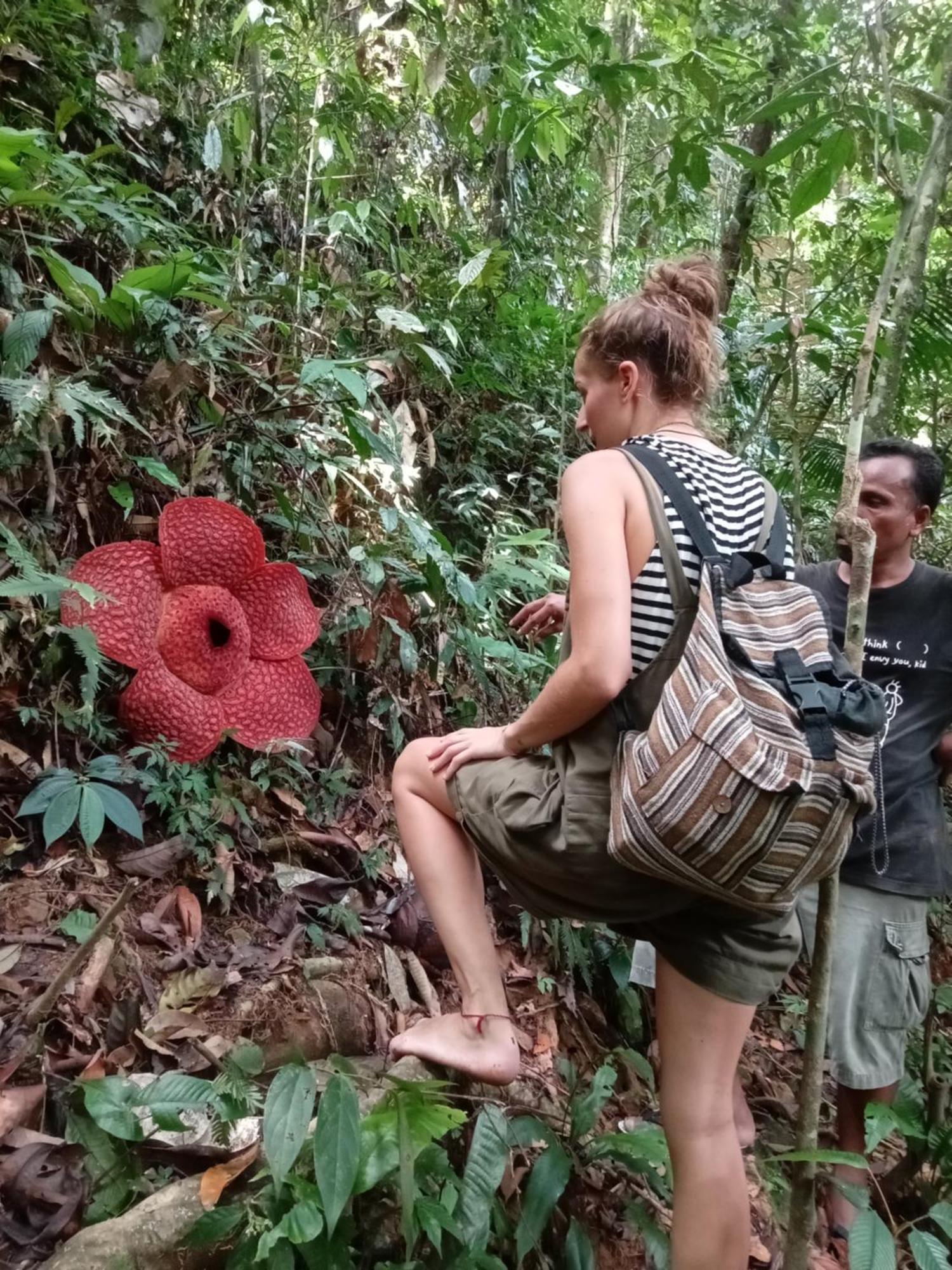 Eco Trekking Lodge, Bar & Jungle Tour'S Bukit Lawang Eksteriør billede